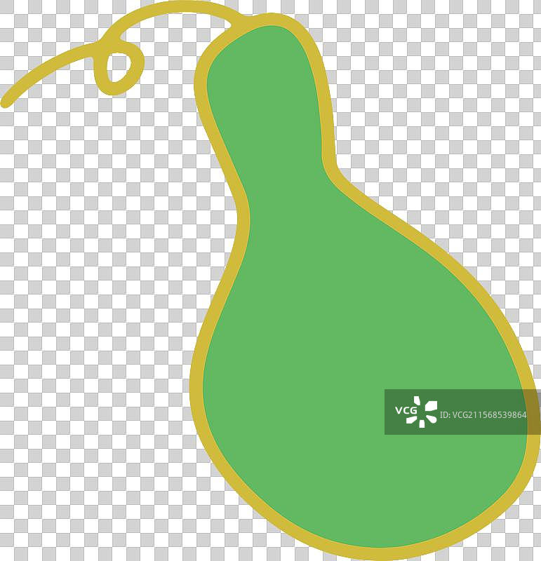 冬瓜 冬瓜汤 简笔画 设计 元素 蔬菜 点缀 食材图片素材