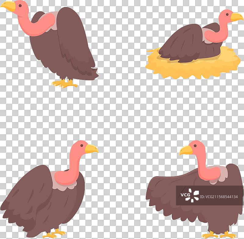 秃鹫鸟图标集 卡通大鸟图片素材