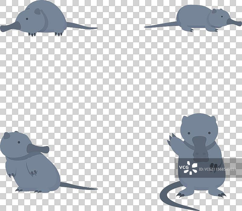 可爱的鼩鼱图标集，卡通风格的哺乳动物图片素材