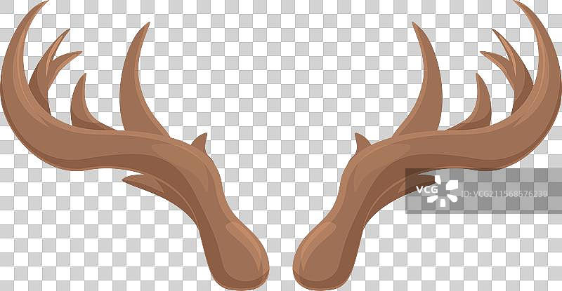 一对大型雄鹿的棕色鹿角图片素材