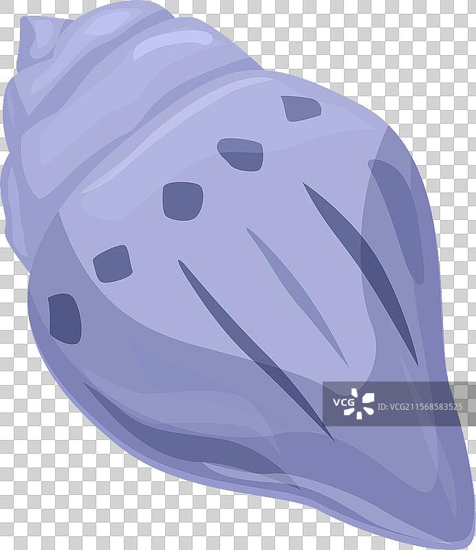 大型紫色贝壳，带有螺旋纹和黑色花纹图片素材