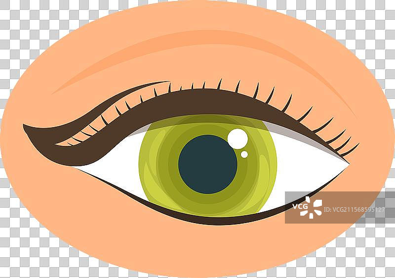 完美涂抹眼线的绿色眼睛图片素材