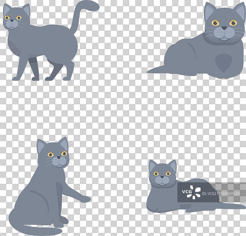 一组不同姿势的卡通灰猫图片素材