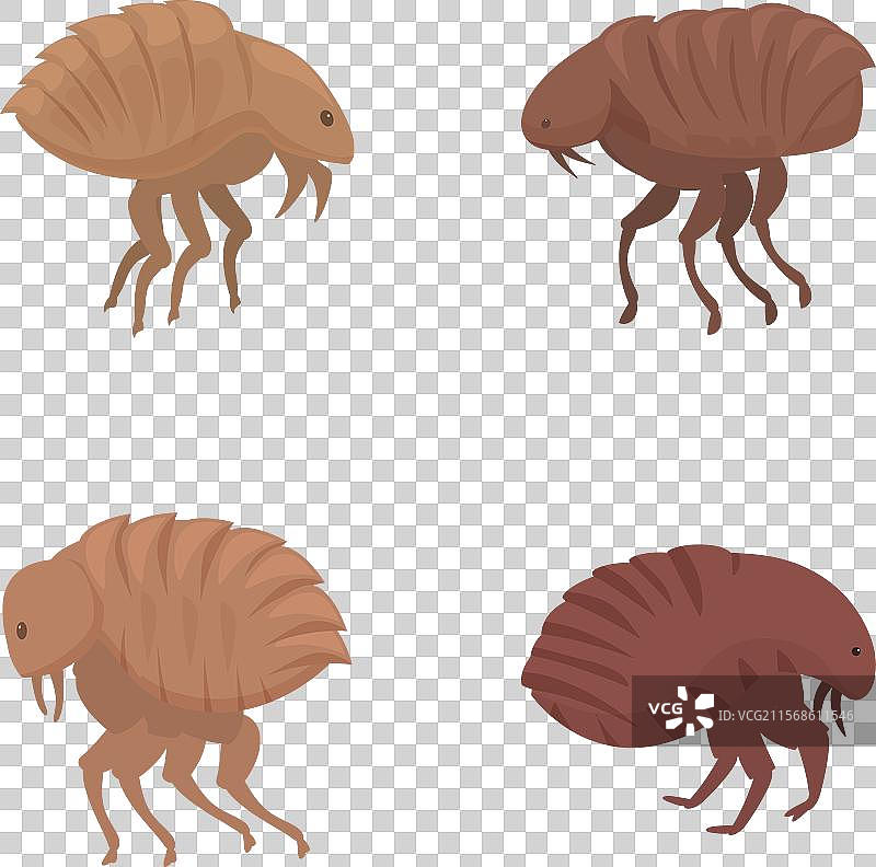 一组以不同姿势表现的卡通跳蚤图片素材