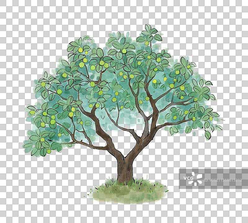青梅树丰收插画元素图片素材