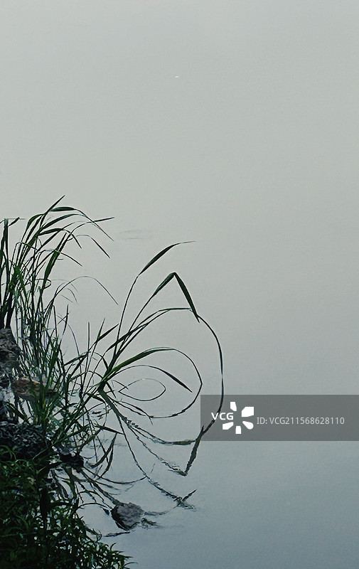 嘉善步道散步掠影图片素材