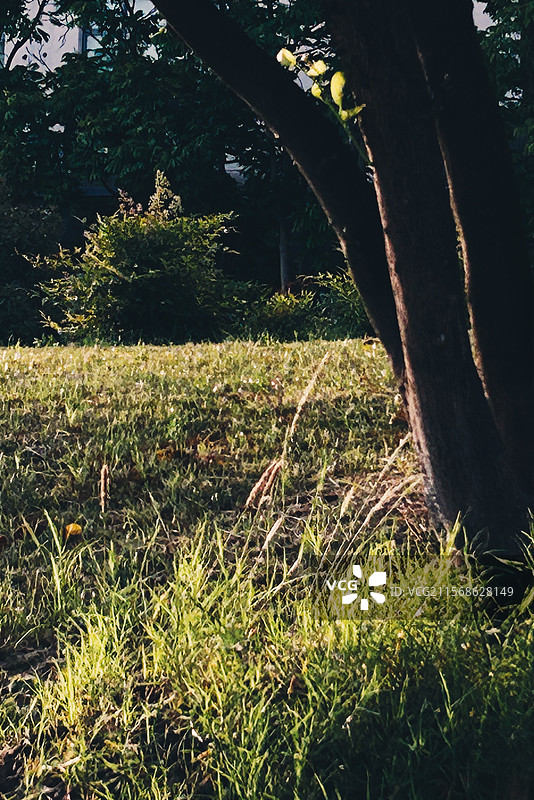 嘉善步道散步掠影图片素材