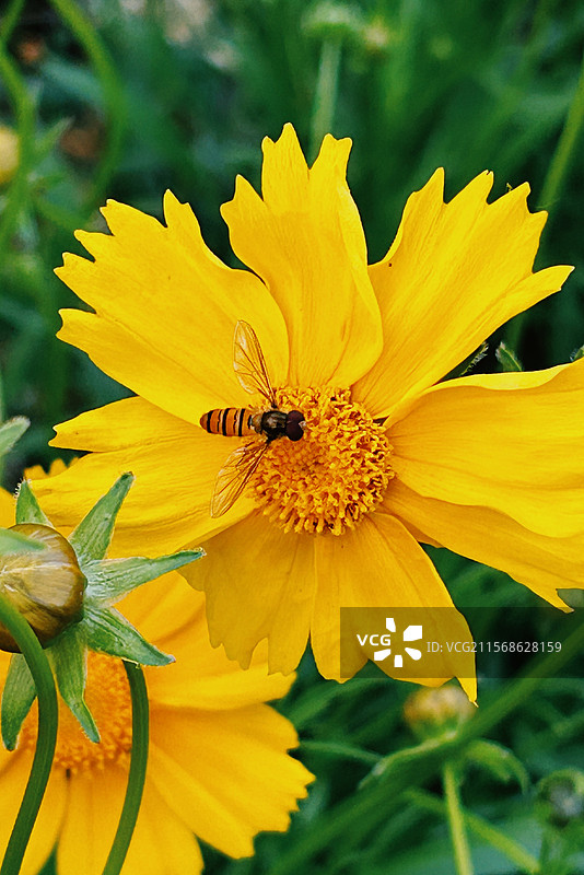 嘉善步道散步掠影图片素材