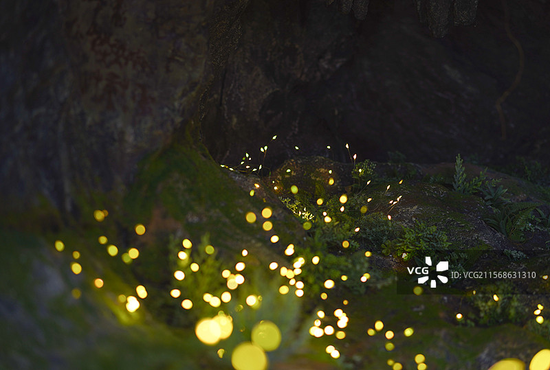 绿野仙踪图片素材