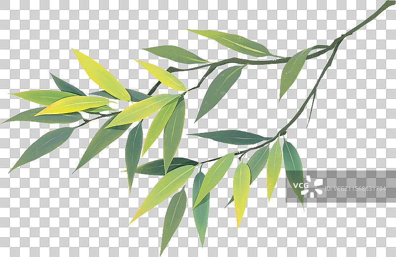 端午节插画元素竹子竹叶图片素材