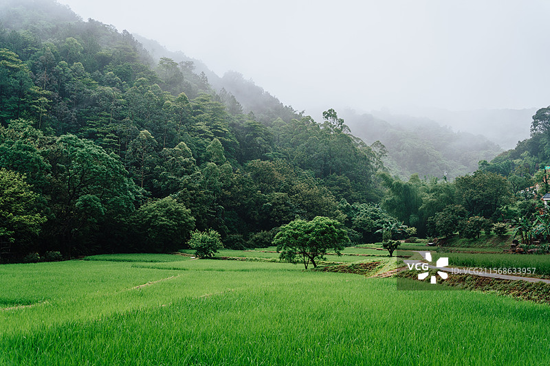 广州黄埔金坑村图片素材