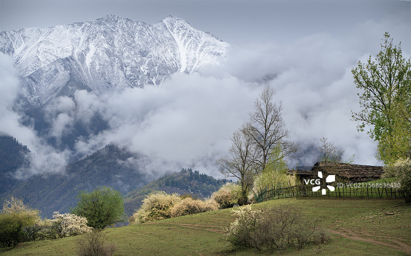 春染中查图片素材