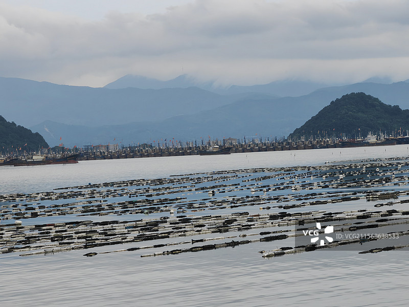 牡蛎之乡图片素材