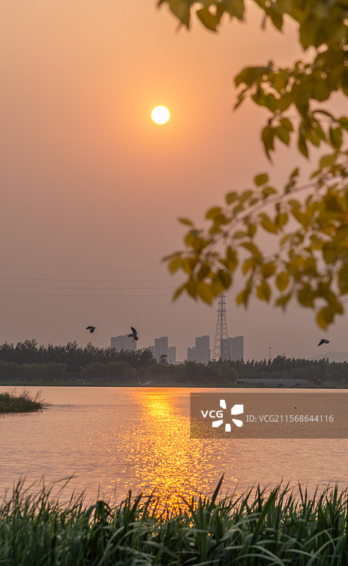 晚霞远山湖水飞鸟图片素材