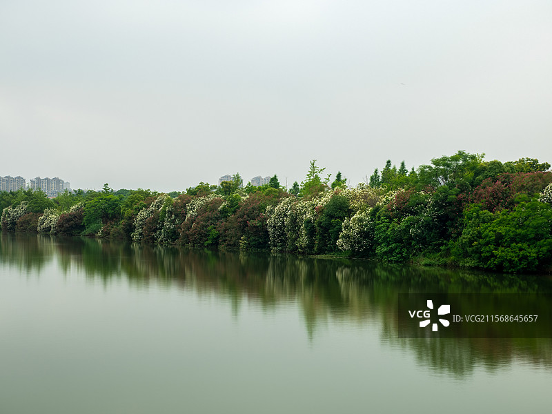 南昌象湖湿地公园图片素材