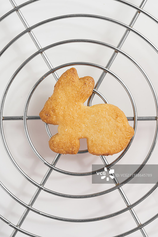 兔子形状的小饼干图片素材