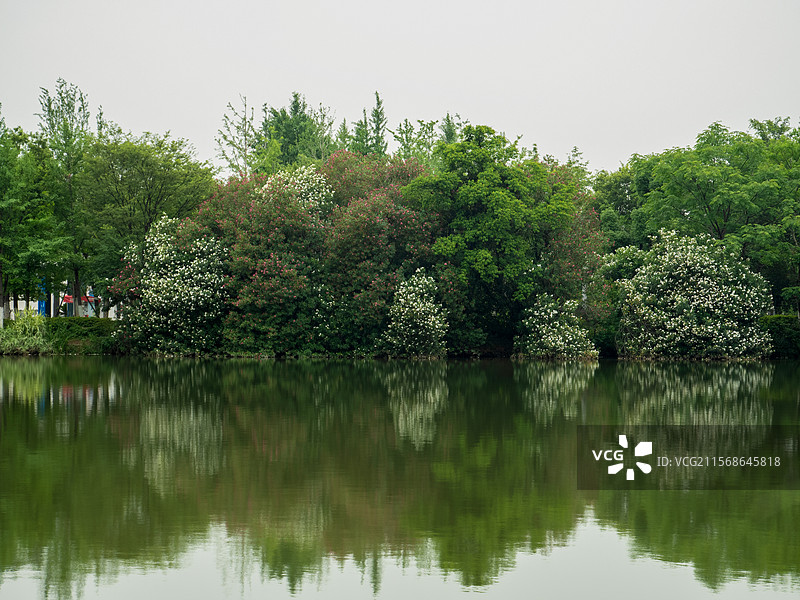 南昌象湖湿地公园图片素材