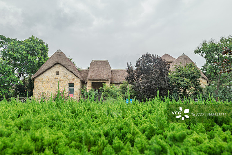 山东威海悦海公园海草房图片素材