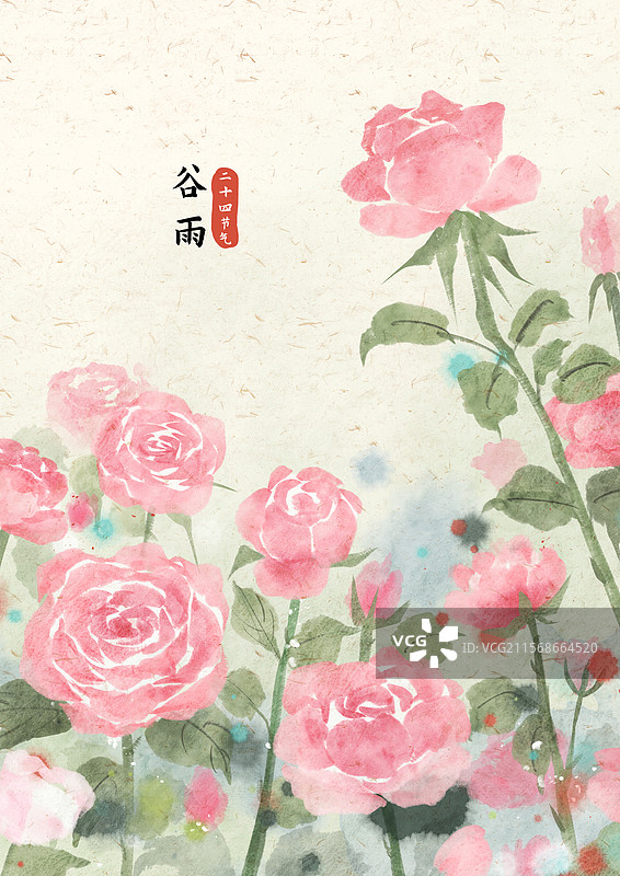谷雨节气玫瑰花插画图片素材