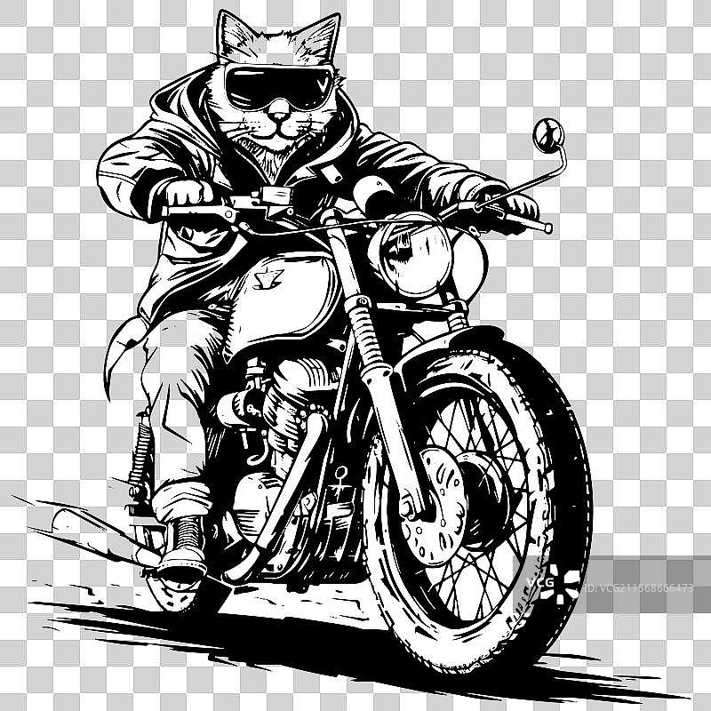 时尚的毛茸茸骑士穿越交通。图片素材