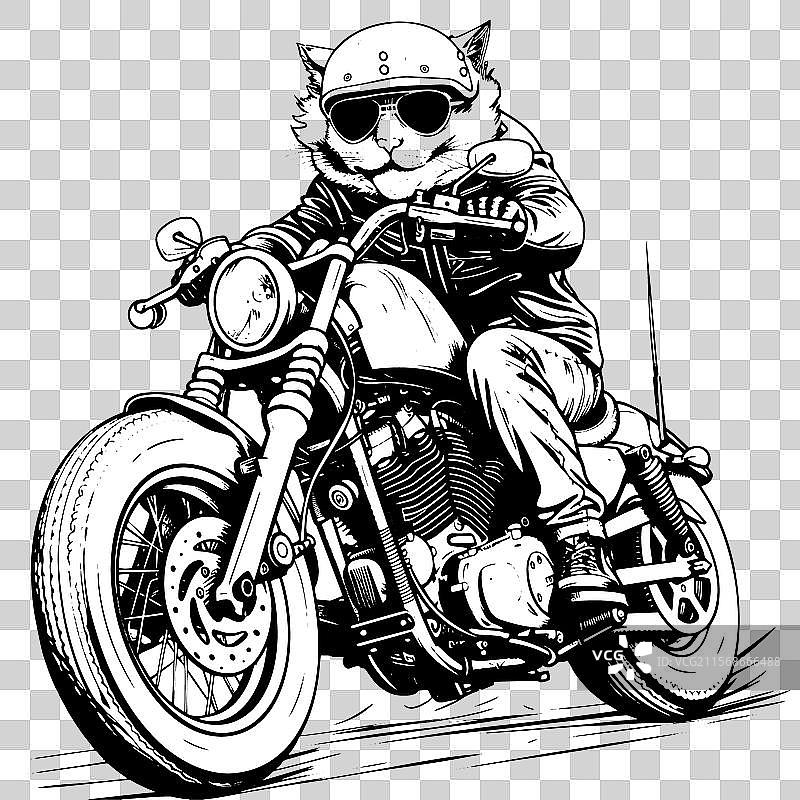 时尚的猫骑着现代摩托车驰骋图片素材