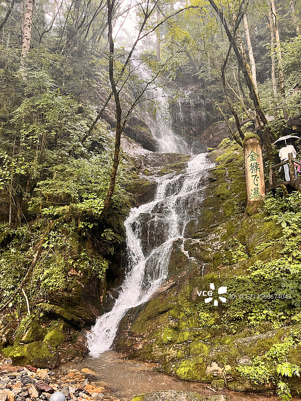 神龙架金猴岭图片素材