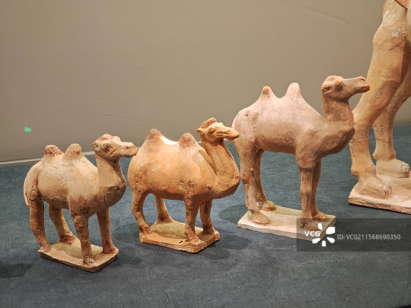 彩绘红陶立驼（唐代），昭陵博物馆藏，上海闵行博物馆“贞观鉴——大唐历史文化主题展”图片素材
