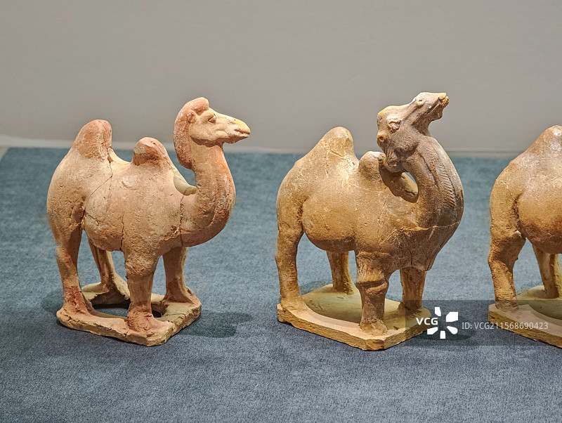 彩绘红陶立驼（唐代），昭陵博物馆藏，上海闵行博物馆“贞观鉴——大唐历史文化主题展”图片素材