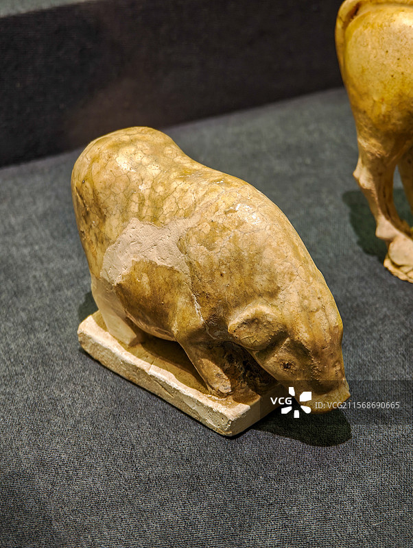 釉陶立猪（唐代），昭陵博物馆藏，上海闵行博物馆“贞观鉴——大唐历史文化主题展”图片素材