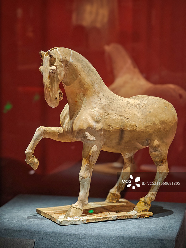 白陶抬蹄马（唐代），昭陵博物馆藏，上海闵行博物馆“贞观鉴——大唐历史文化主题展”图片素材