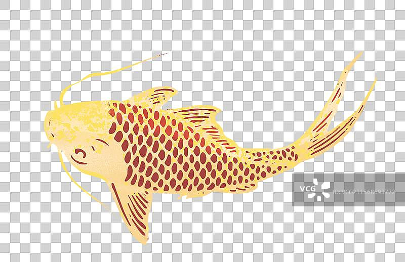 两只金色的剪纸鲤鱼插画元素图片素材