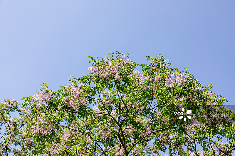 浙江嘉兴平湖东湖景区城市地标建筑与广场平台图片素材