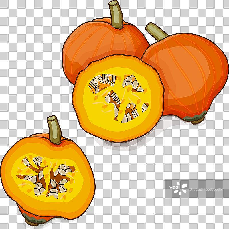 切好的金块南瓜剪贴画图片素材