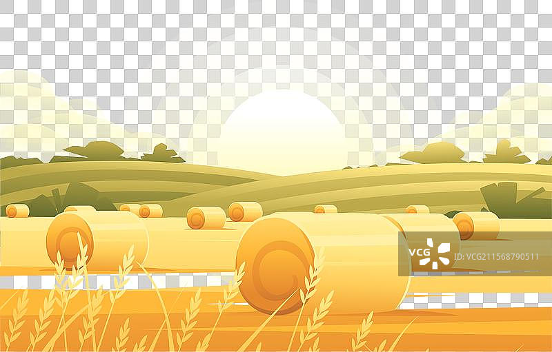 乡村清晨的山丘和山谷风景图片素材