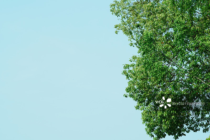 乌镇，江南水乡，西栅景区，世界互联网大会，乌镇戏剧节图片素材