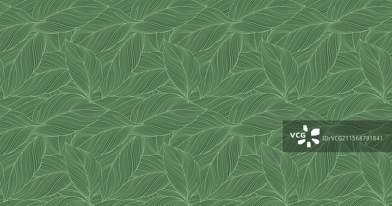 绿色热带背景，带有棕榈叶图片素材