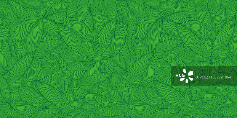 绿色热带背景，带有棕榈叶图片素材