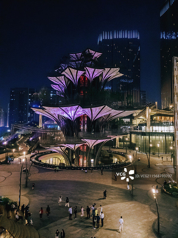西安旅行 落花 古建筑 城墙 纹理 生命之树 历史感 现代感 城市图片素材