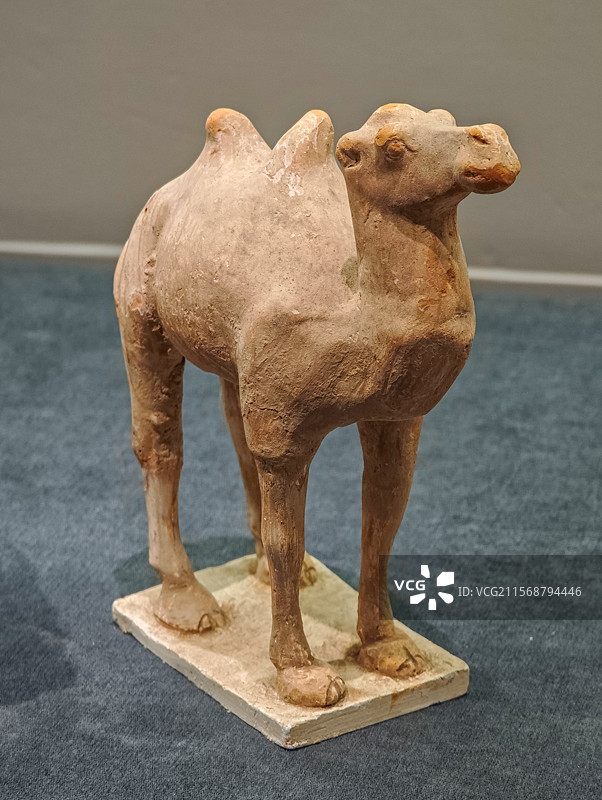 彩绘红陶立驼（唐代），昭陵博物馆藏，上海闵行博物馆“贞观鉴——大唐历史文化主题展”图片素材