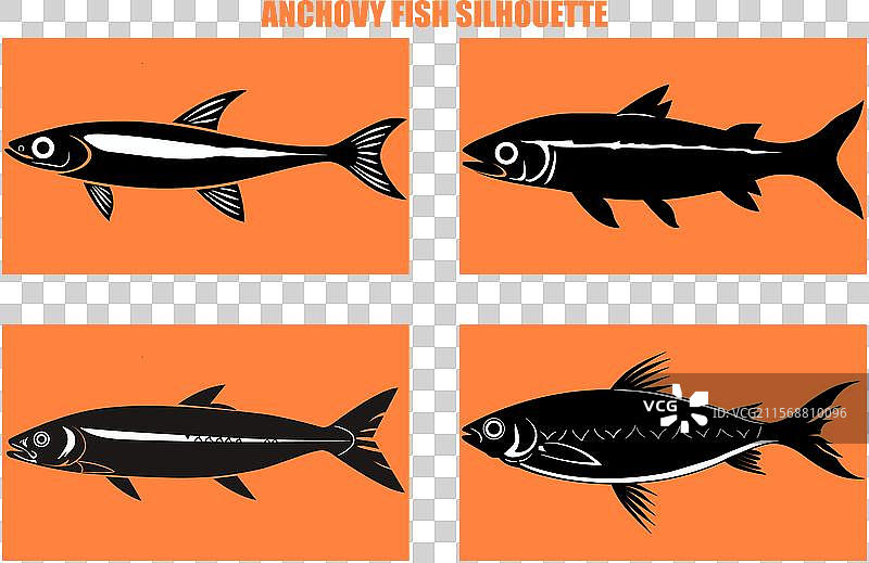 一组孤立在白色背景上的凤尾鱼剪影图片素材