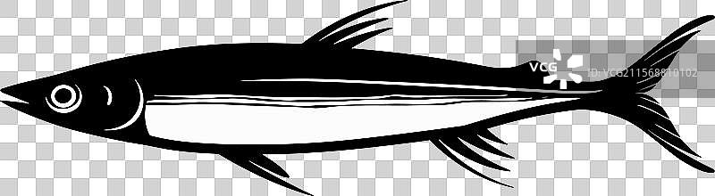 白色背景上的凤尾鱼轮廓图图片素材