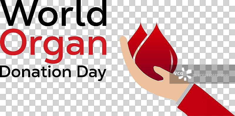 世界器官捐献日图片素材