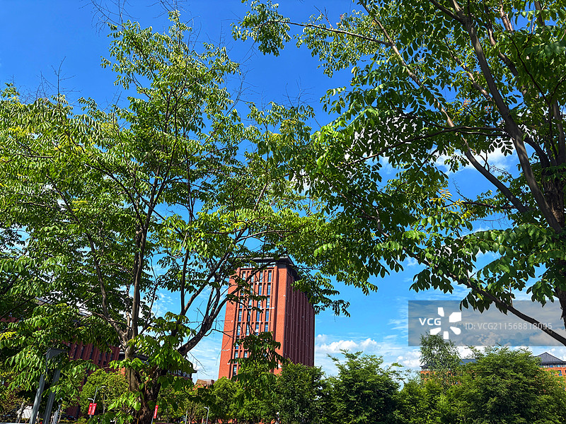 浙江大学紫金港校区初夏建筑景观摄影集 红砖幕墙与几何美学 绿植共生校园风光及现代主义建筑空间设计素材图片素材