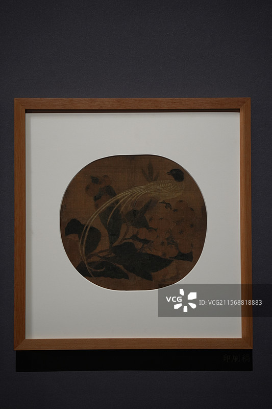 展览 画展 问羽 宋画 宋代艺术 花鸟画 访山野 美国克里夫兰艺术博物馆 桃枝双雀图 白眉图片素材