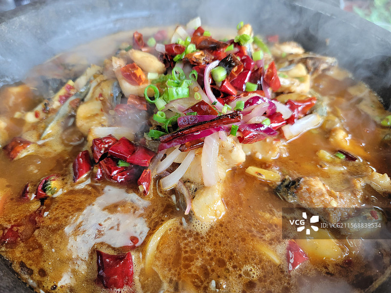 餐厅铁锅里的人工养殖的娃娃鱼私房菜图片素材
