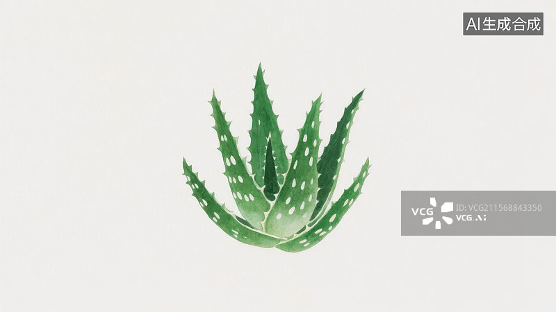 【AI数字艺术】一株绿色的芦荟植物图片素材