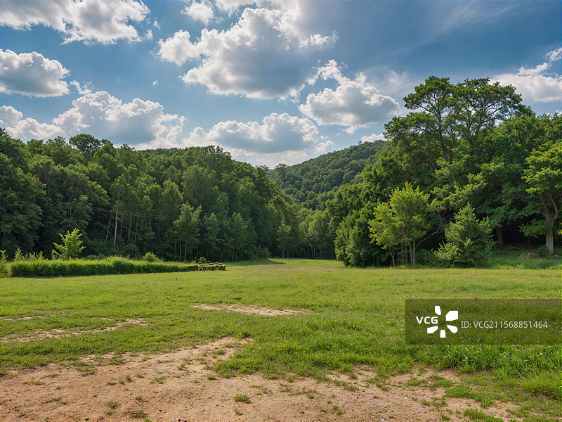 良凤江国家森林公园绿色大草坪图片素材