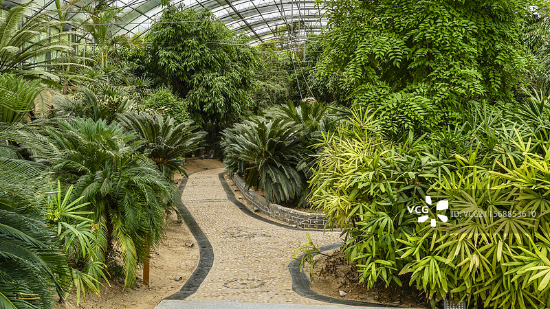 南街村温室植物园图片素材