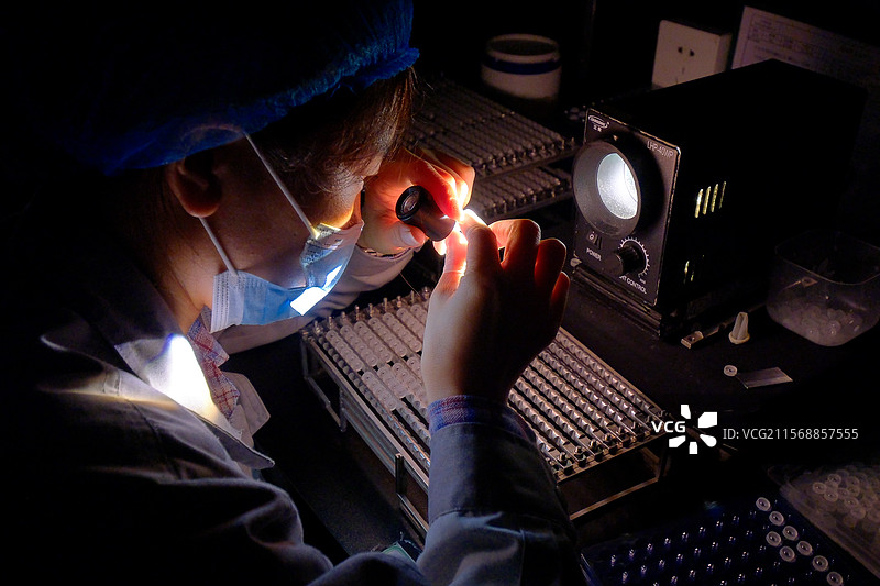 凤凰之光图片素材