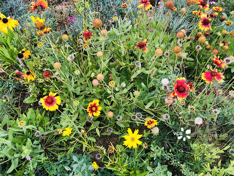 中国-北京（China-Beijing）图片素材